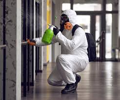 Biohazard Mold Removal in San Juan Capistrano, CA